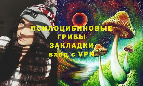 стаф Волоколамск